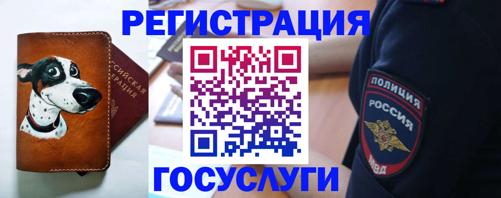 временная регистрация в квартире в Ярославской области